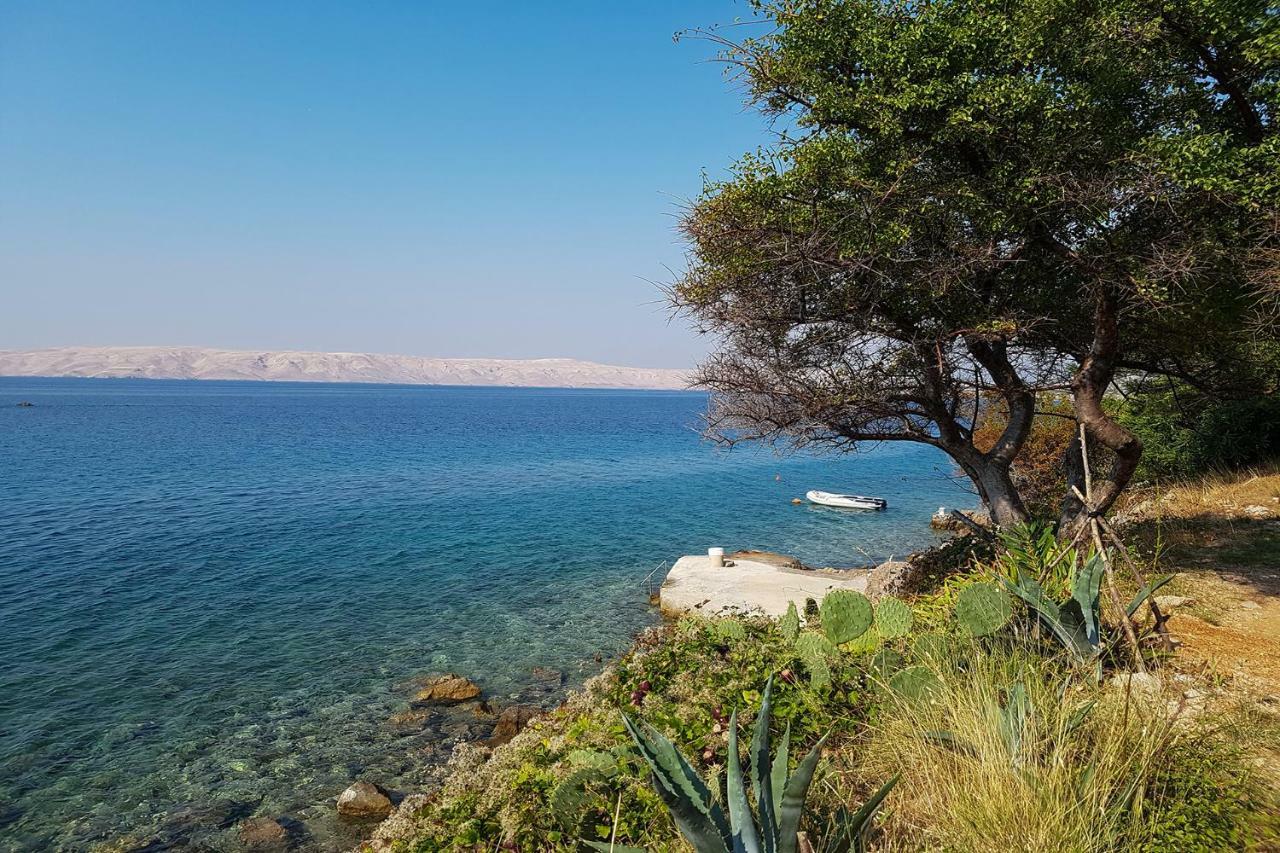 צזריקה Beachfront House Ivana With Pool - Renovated 2025 מראה חיצוני תמונה