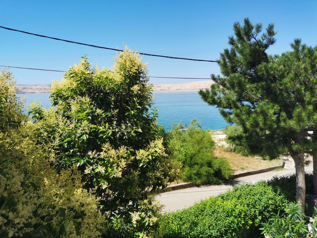 צזריקה Beachfront House Ivana With Pool - Renovated 2025 מראה חיצוני תמונה